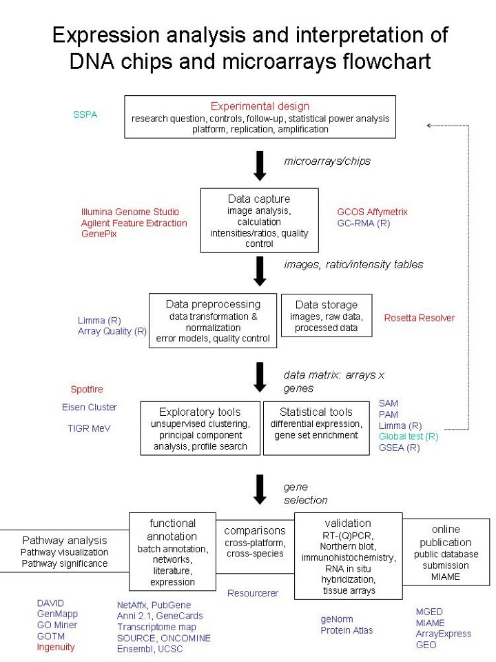 epub sensory evaluation practices third edition